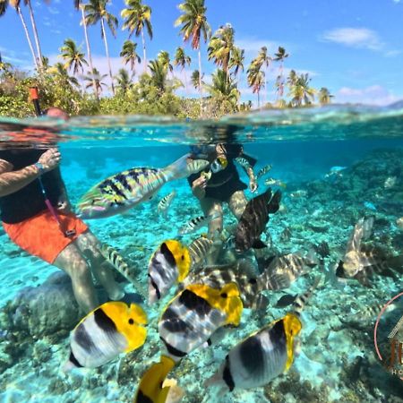 Willa Hutiarii House & Car & Excursions Raiatea Tevaitoa Zewnętrze zdjęcie