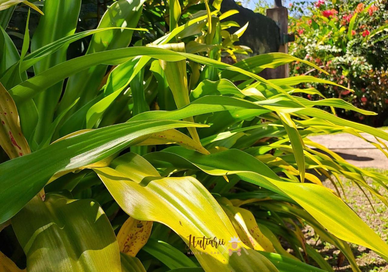 Willa Hutiarii House & Car & Excursions Raiatea Tevaitoa Zewnętrze zdjęcie