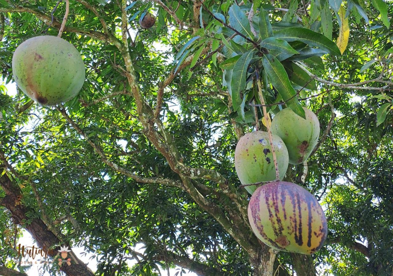 Willa Hutiarii House & Car & Excursions Raiatea Tevaitoa Zewnętrze zdjęcie
